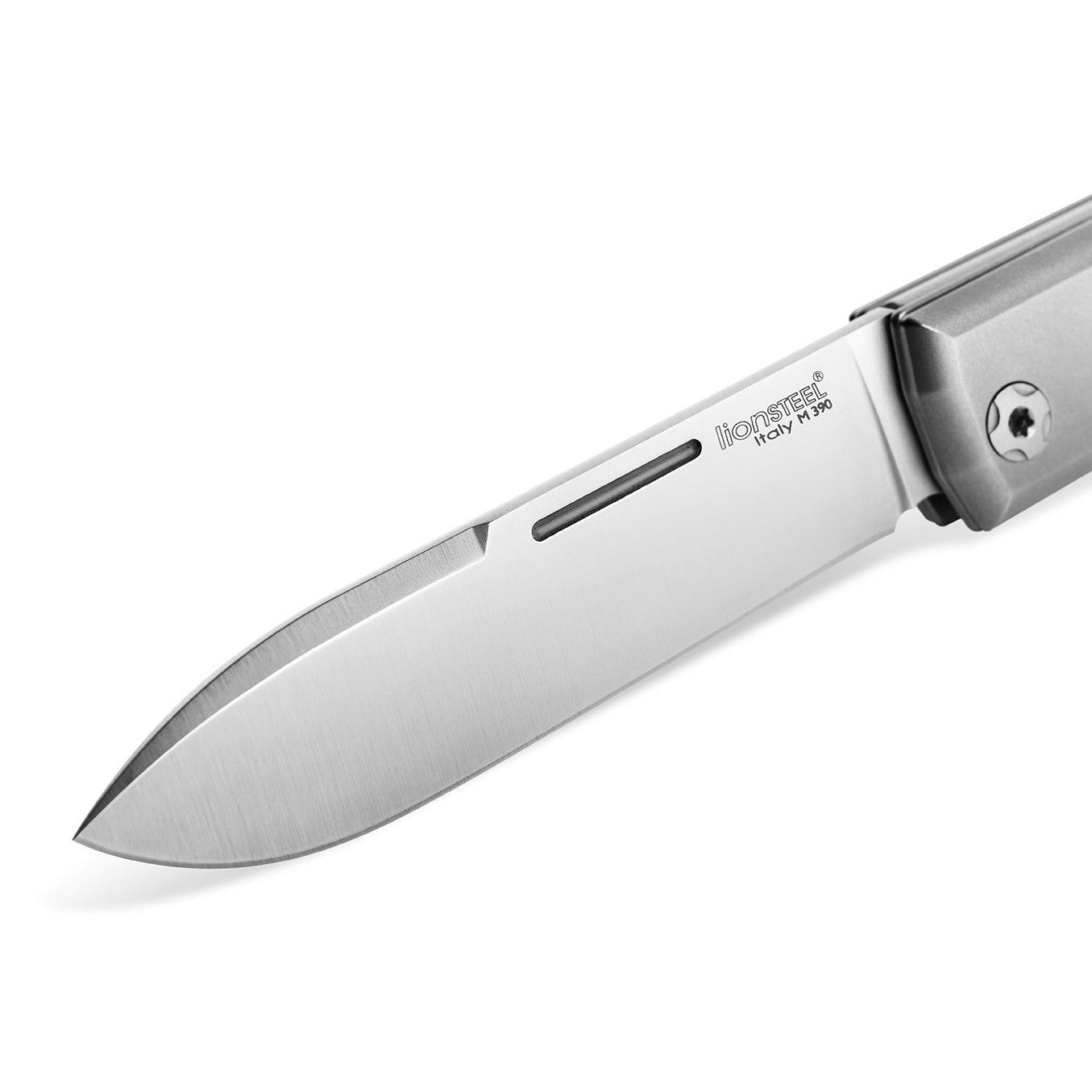 BestMan, Drop Point - Ebenholz-lionSTEEL-OnlyKnives